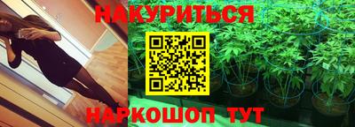 прущие грибы Кулебаки